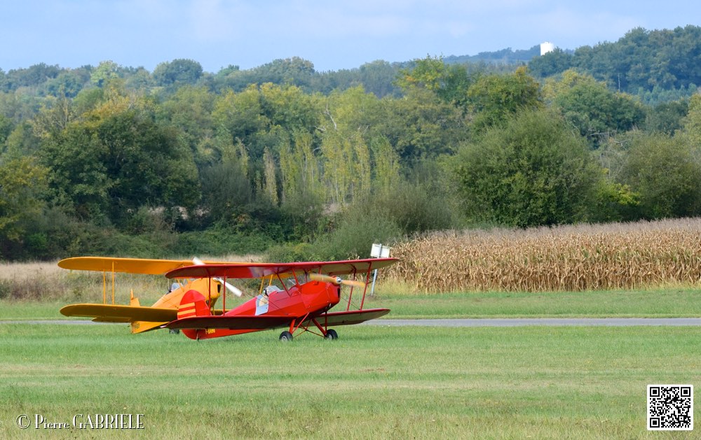 D75_0483.jpg