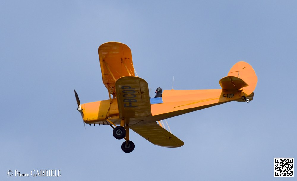 D75_0505.jpg