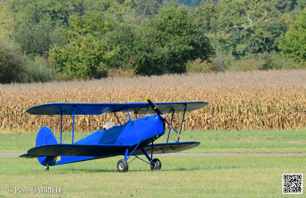 D75_0517.jpg