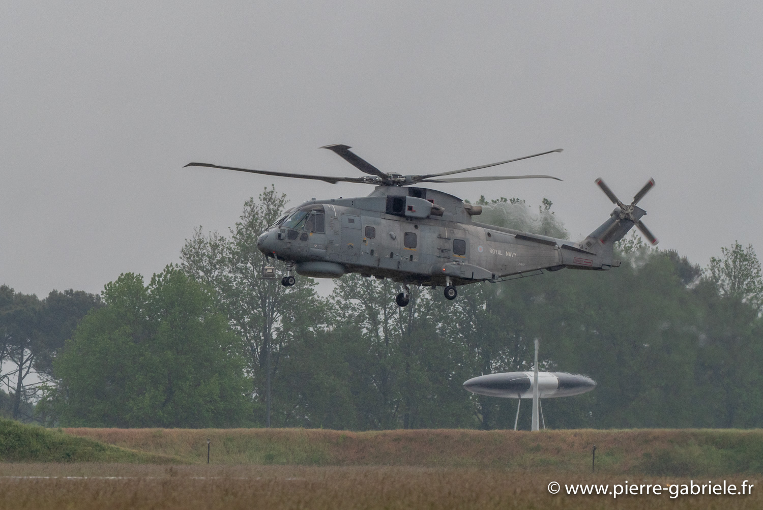 merlin-g93_0327.jpg