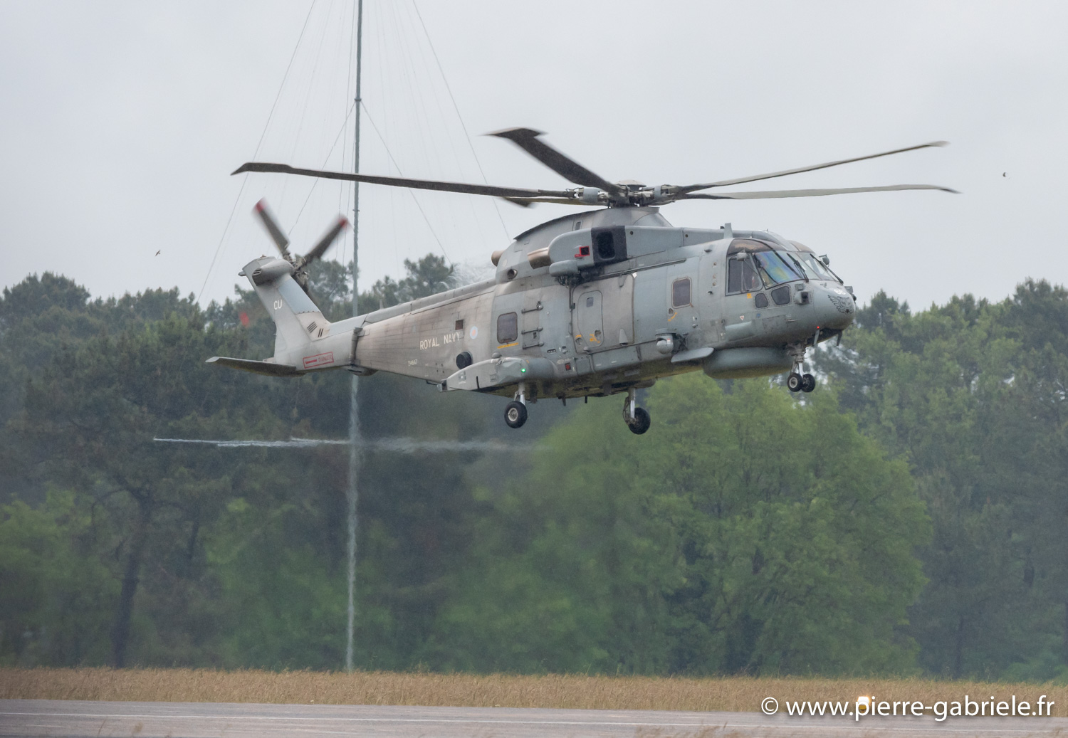 merlin-g93_0513.jpg
