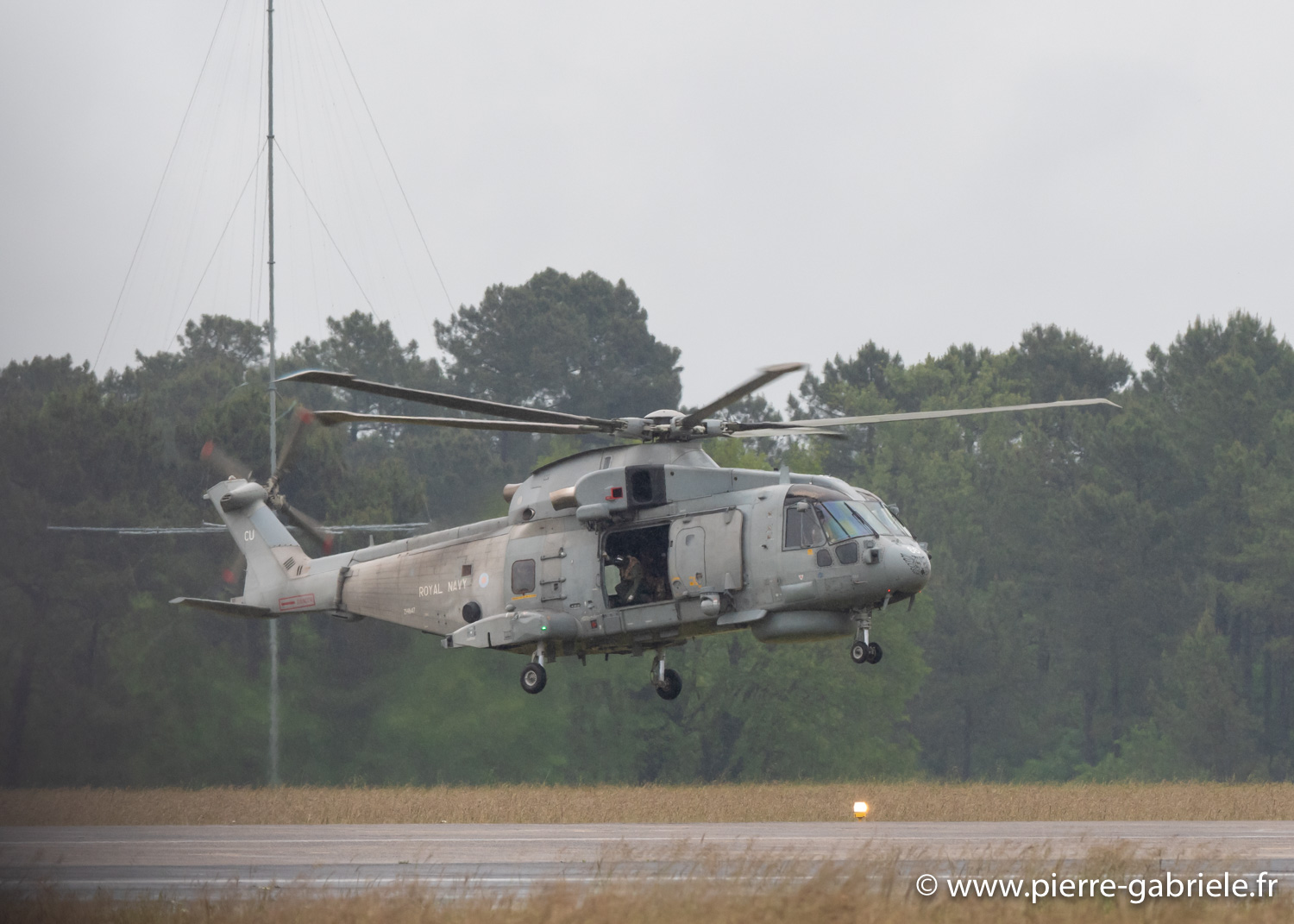 merlin-g93_0514.jpg