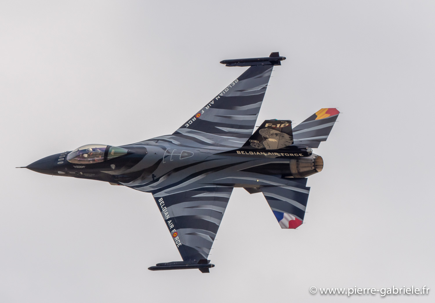 f16-belge-g93_1260.jpg