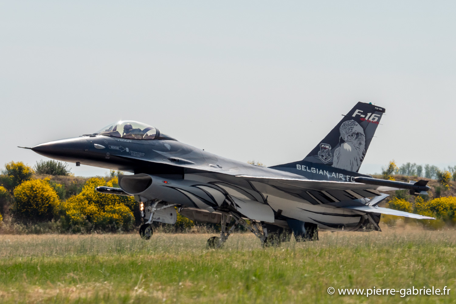 f16-g91__5828.jpg