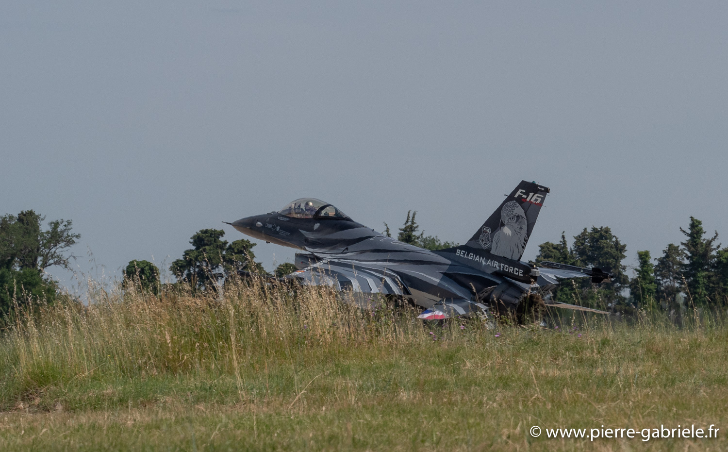 f16-g91__5830.jpg