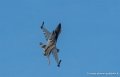 f16-g93_0665