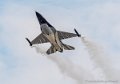 f16-g93_1081