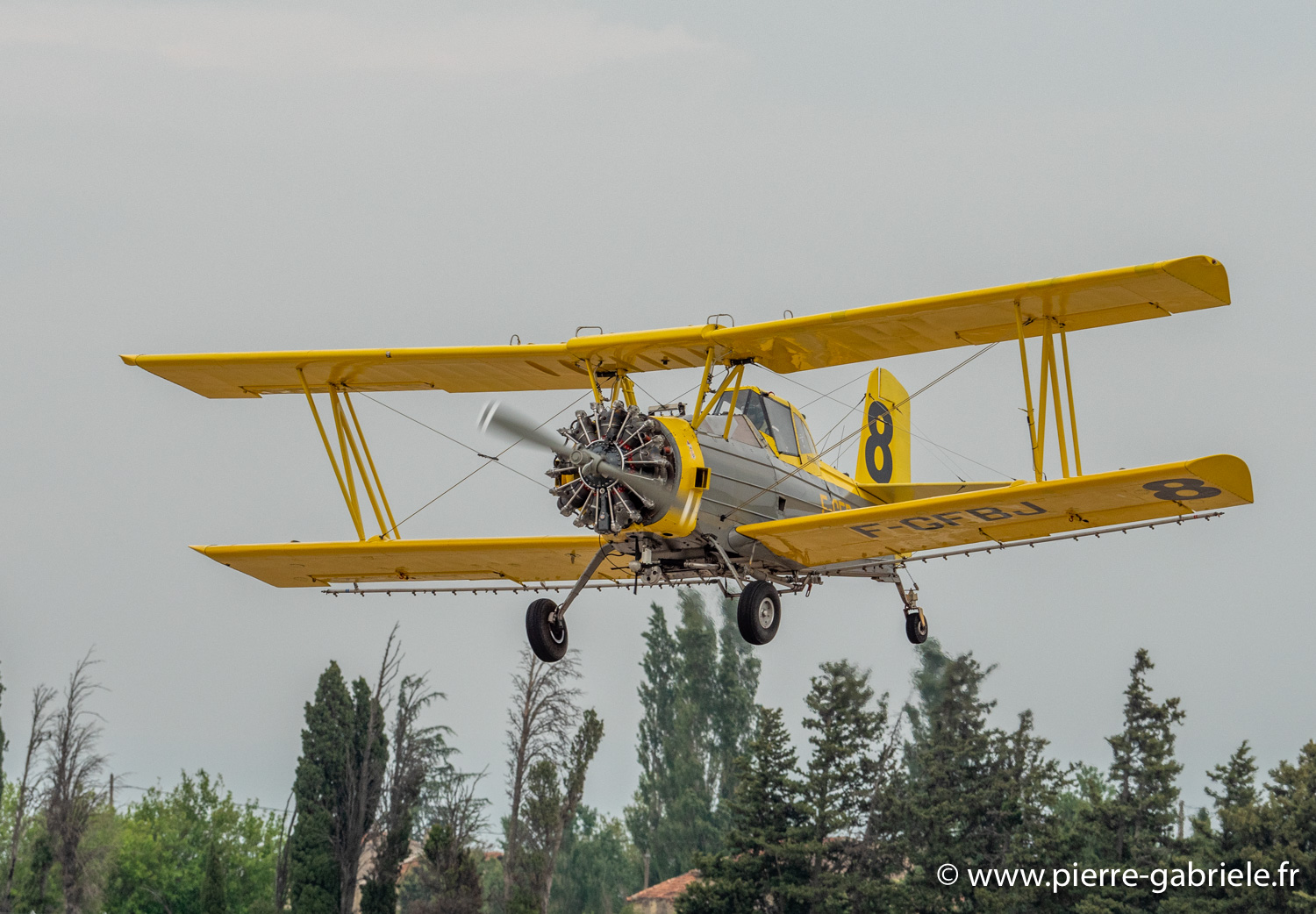 grumman-g.164a-g91__5984.jpg