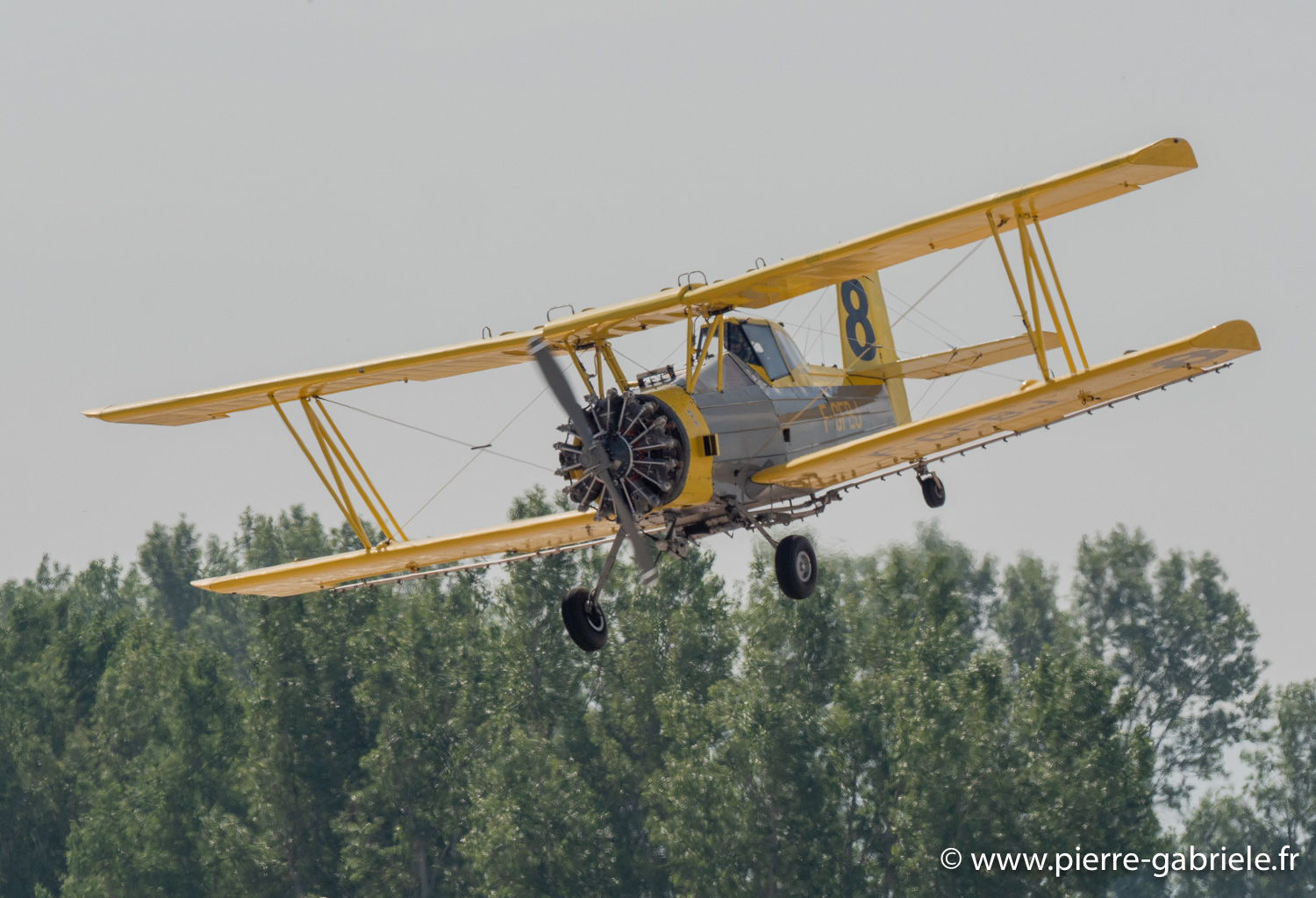 grumman-g.164a-g93_0636.jpg