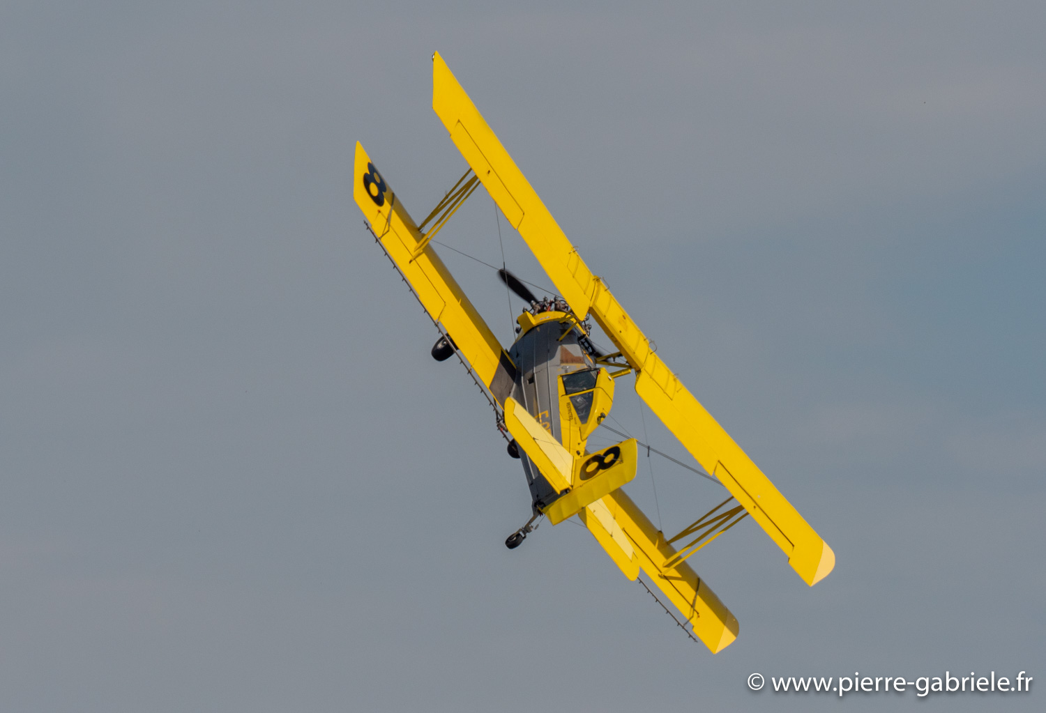 grumman-g.164a-g93_0639.jpg