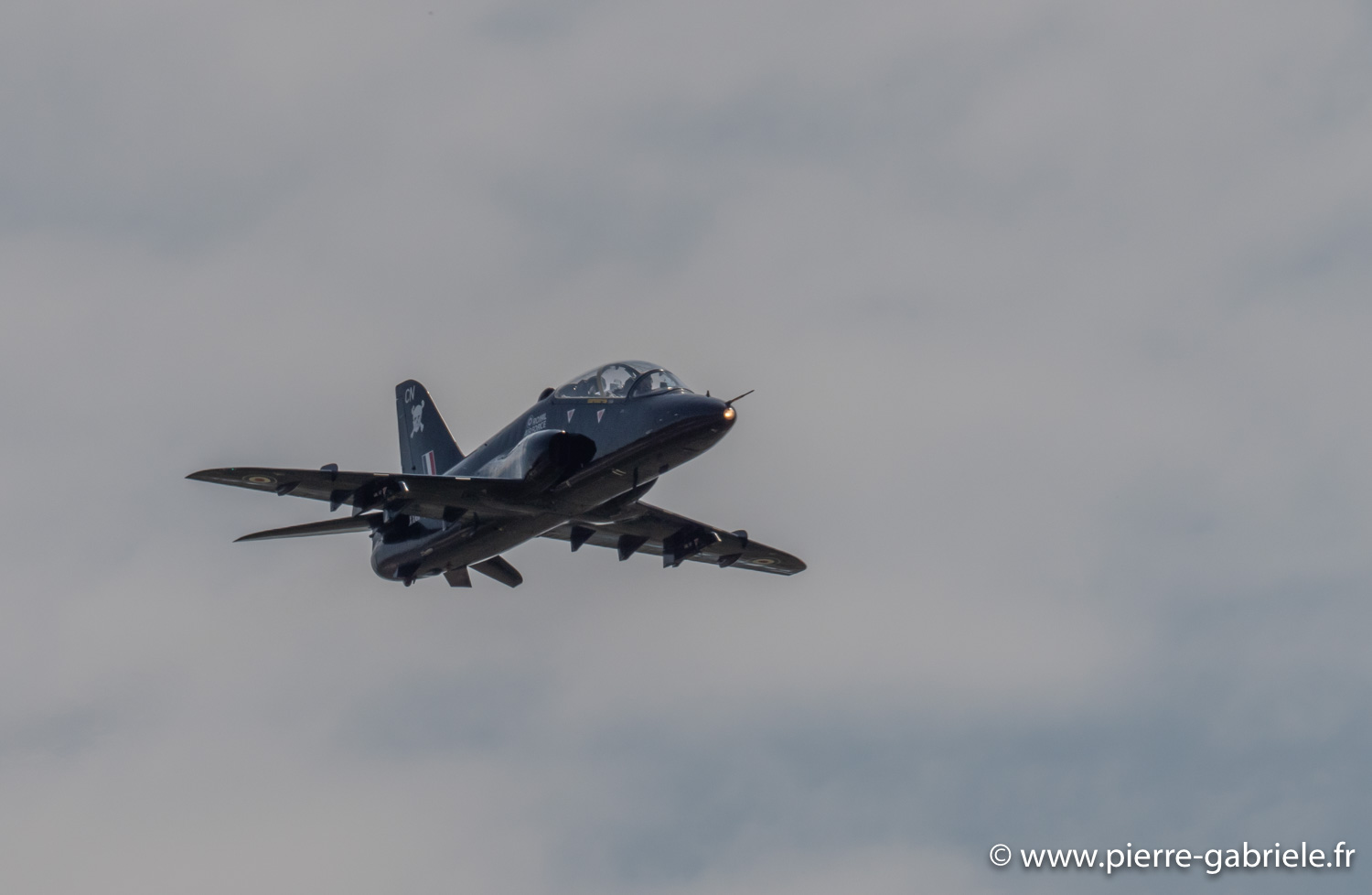 hawk-g93_0774.jpg