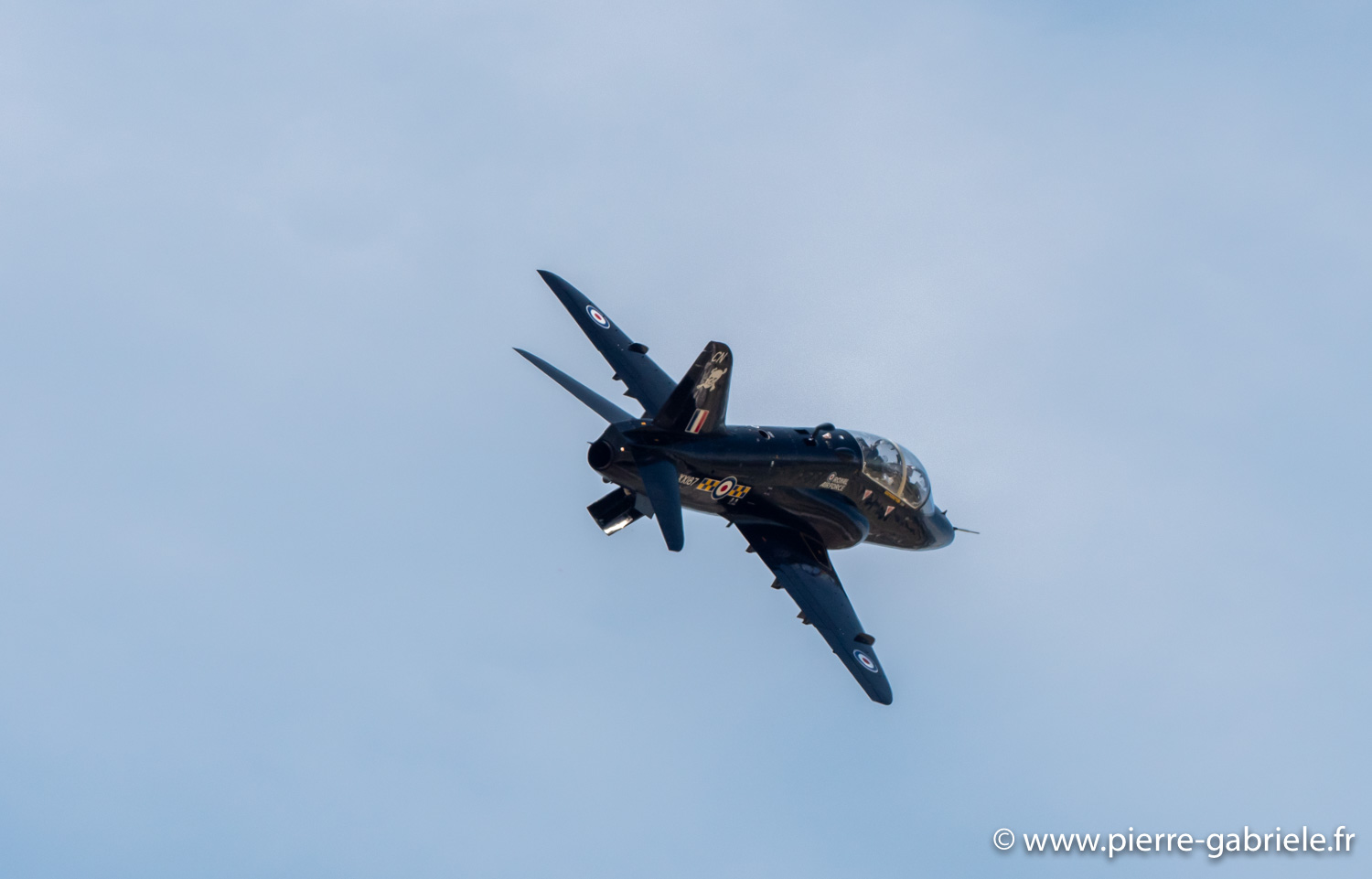 hawk-g93_0775.jpg