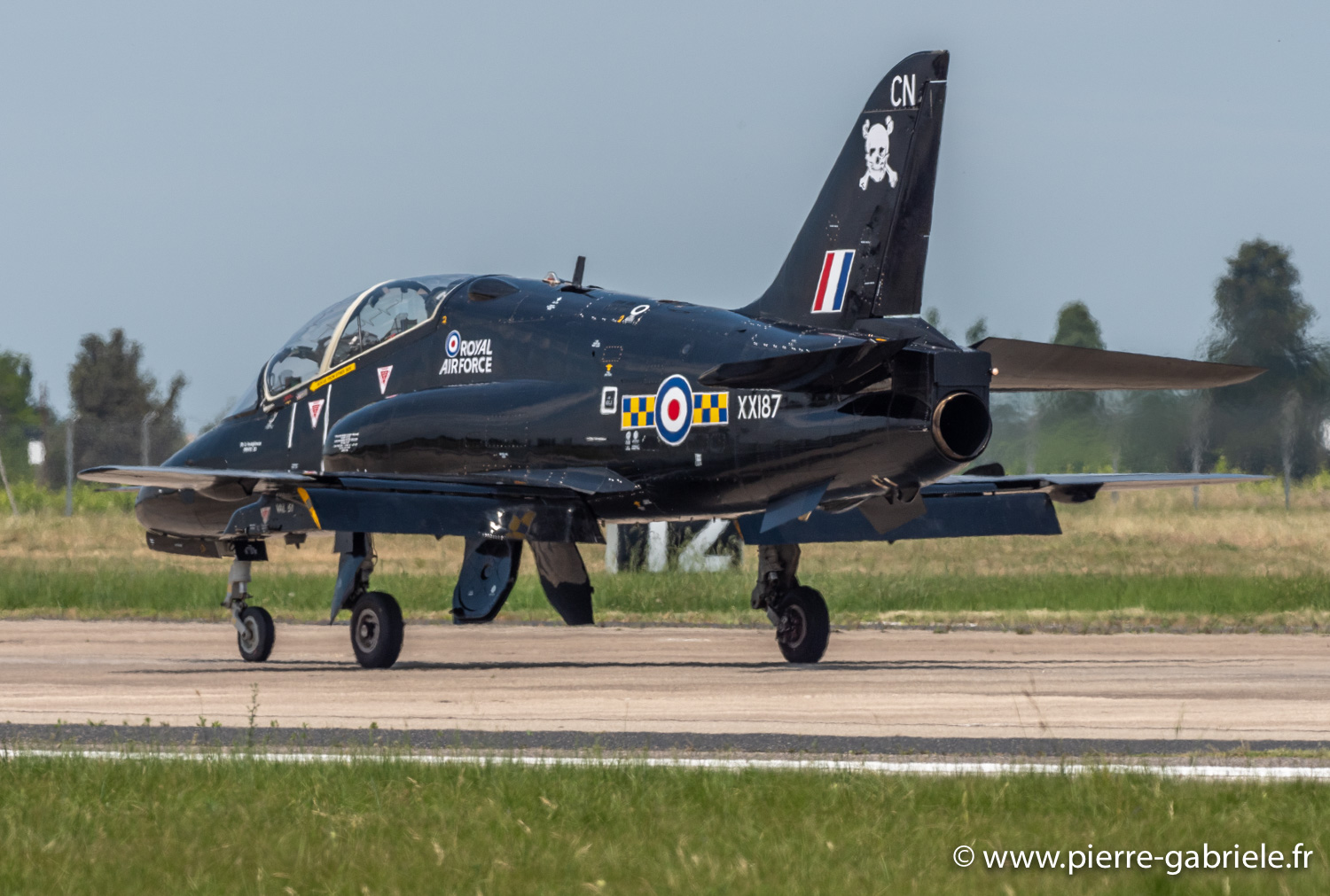 hawk-g93_0779.jpg
