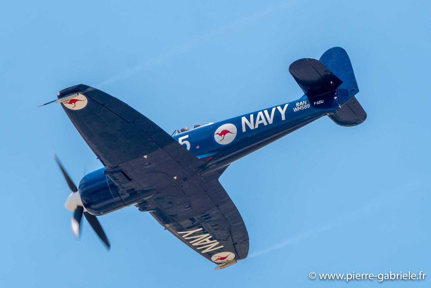 seafury-g93_1484.jpg