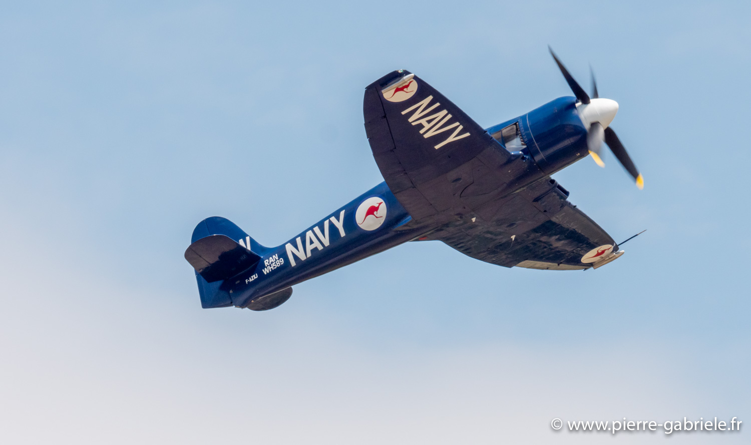 seafury-g93_1489.jpg