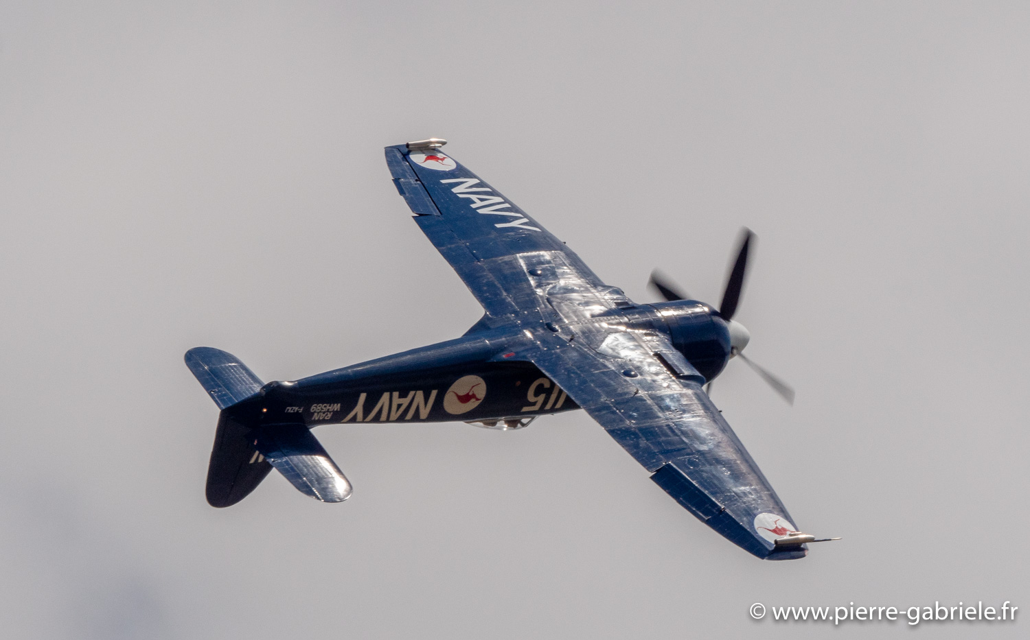 seafury-g93_1490.jpg