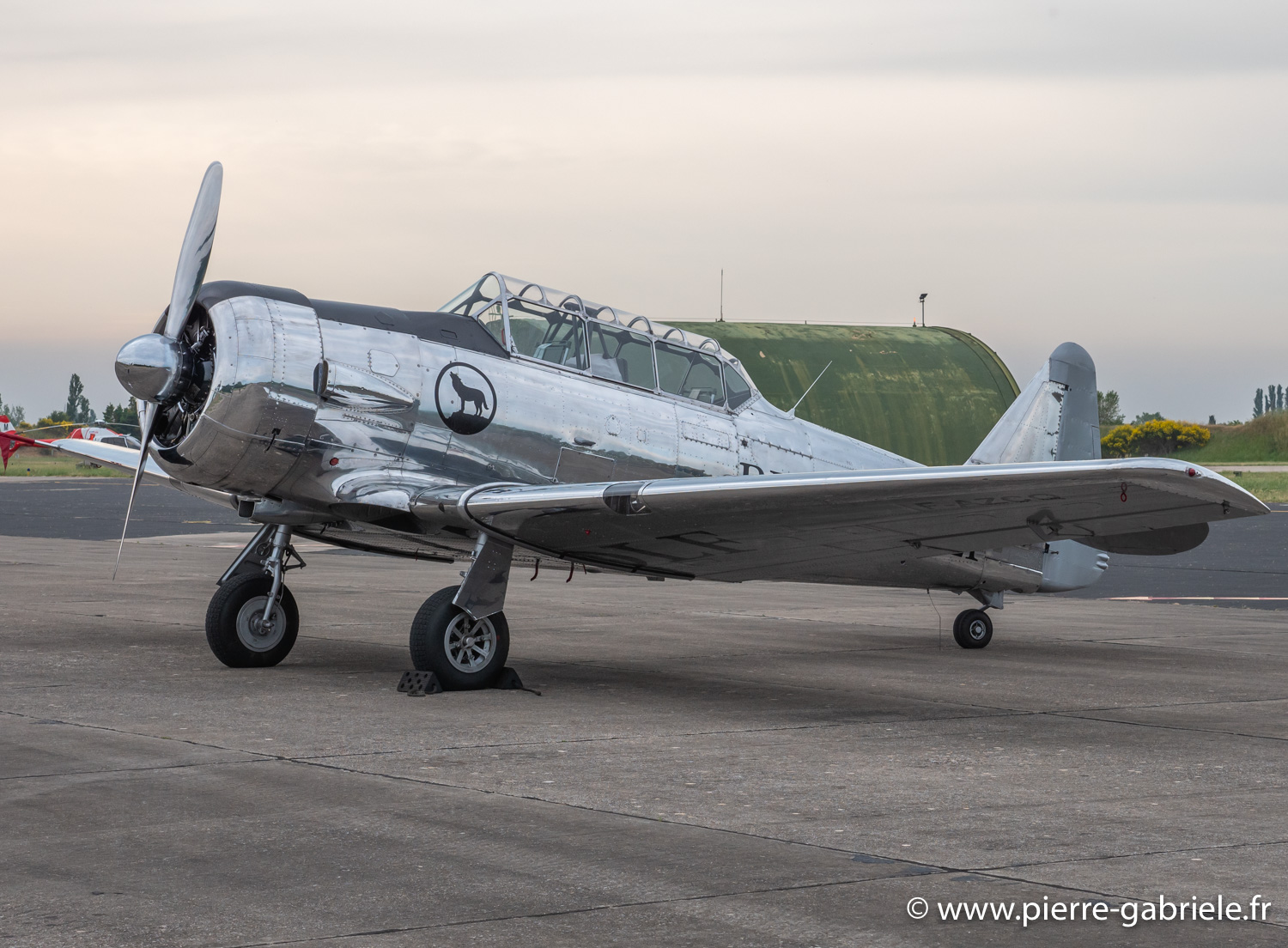 t6g-g92_9836.jpg