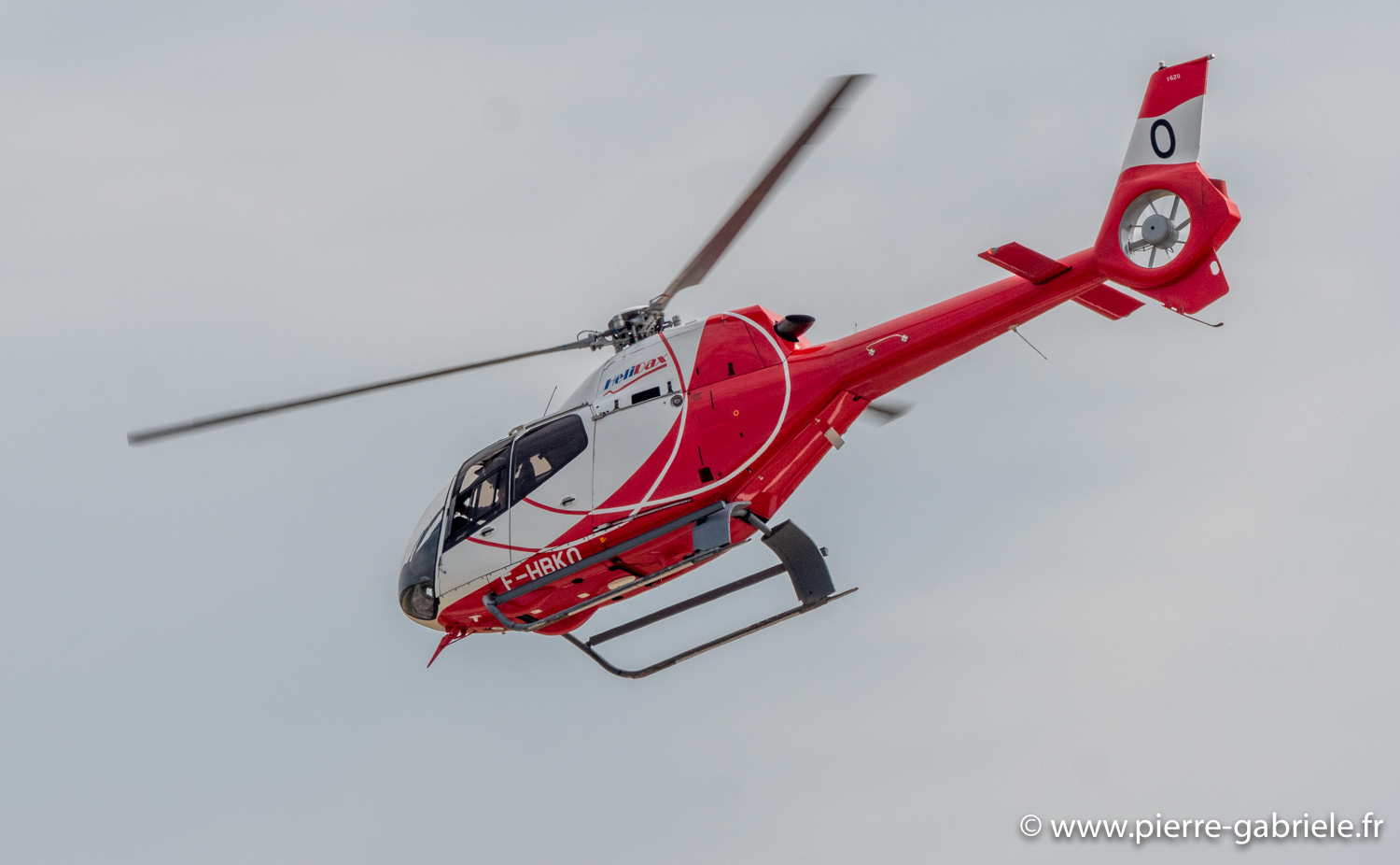 colibri-g93_1193.jpg