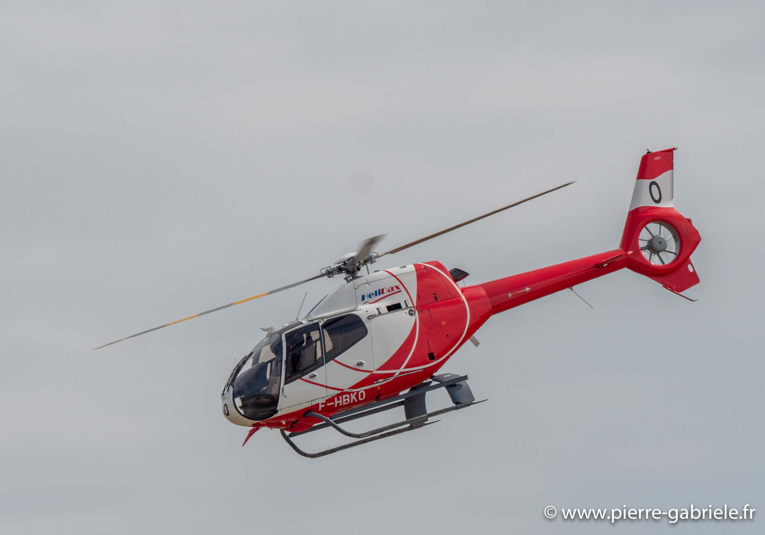 colibri-g93_1194.jpg