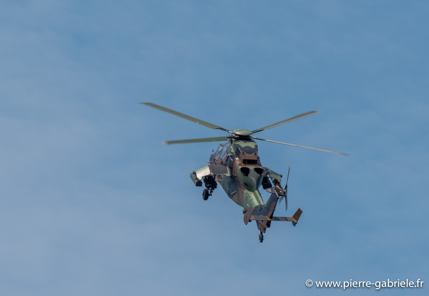 tigre-g93_0789.jpg