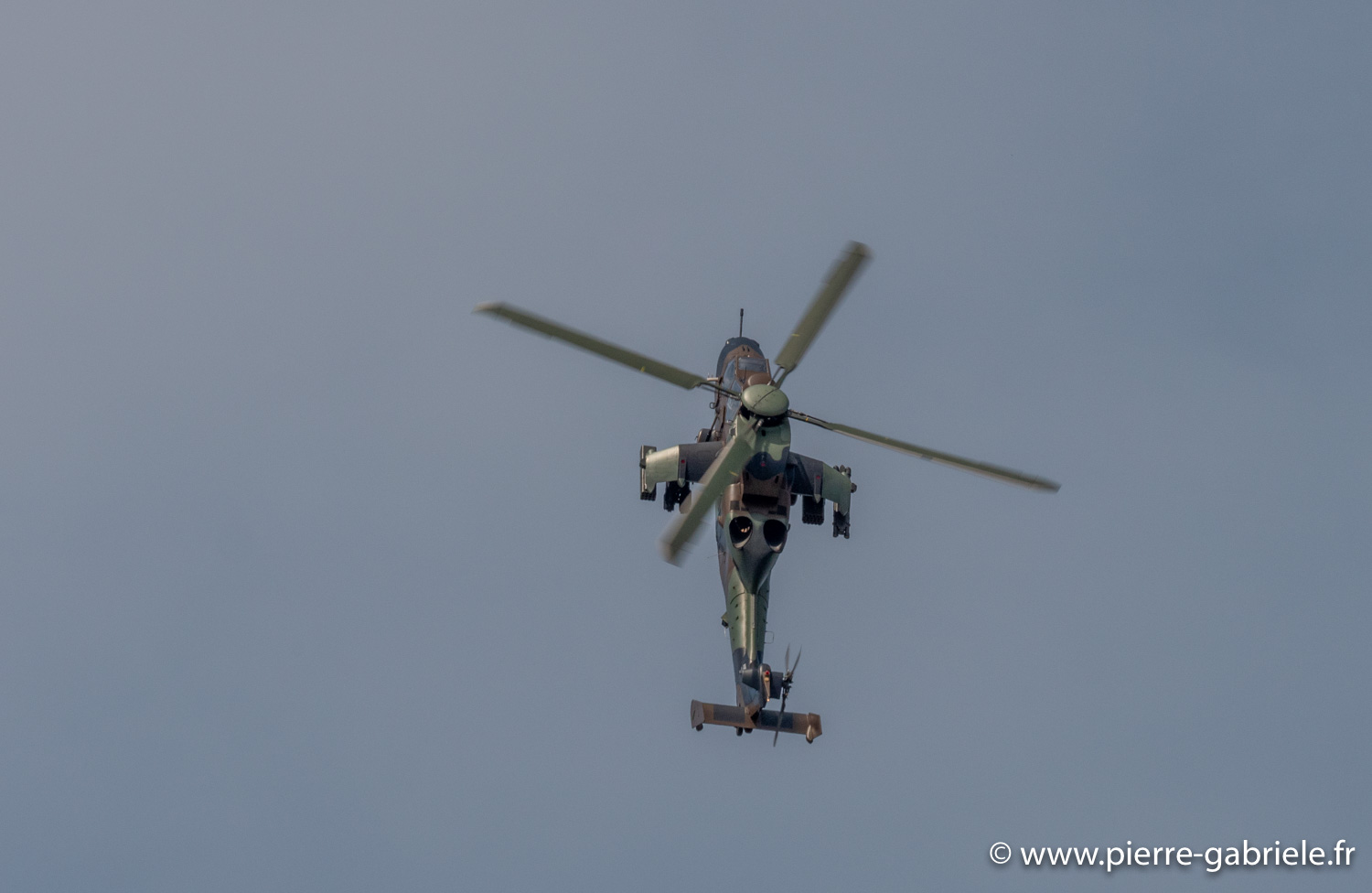 tigre-g93_0790.jpg