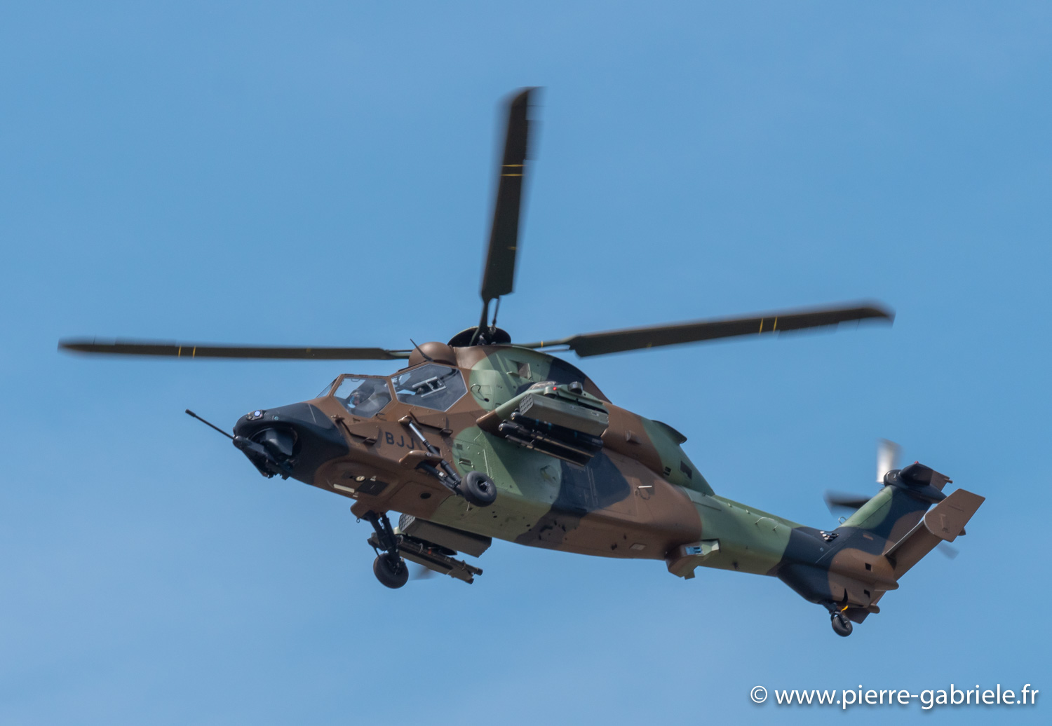 tigre-g93_0794.jpg