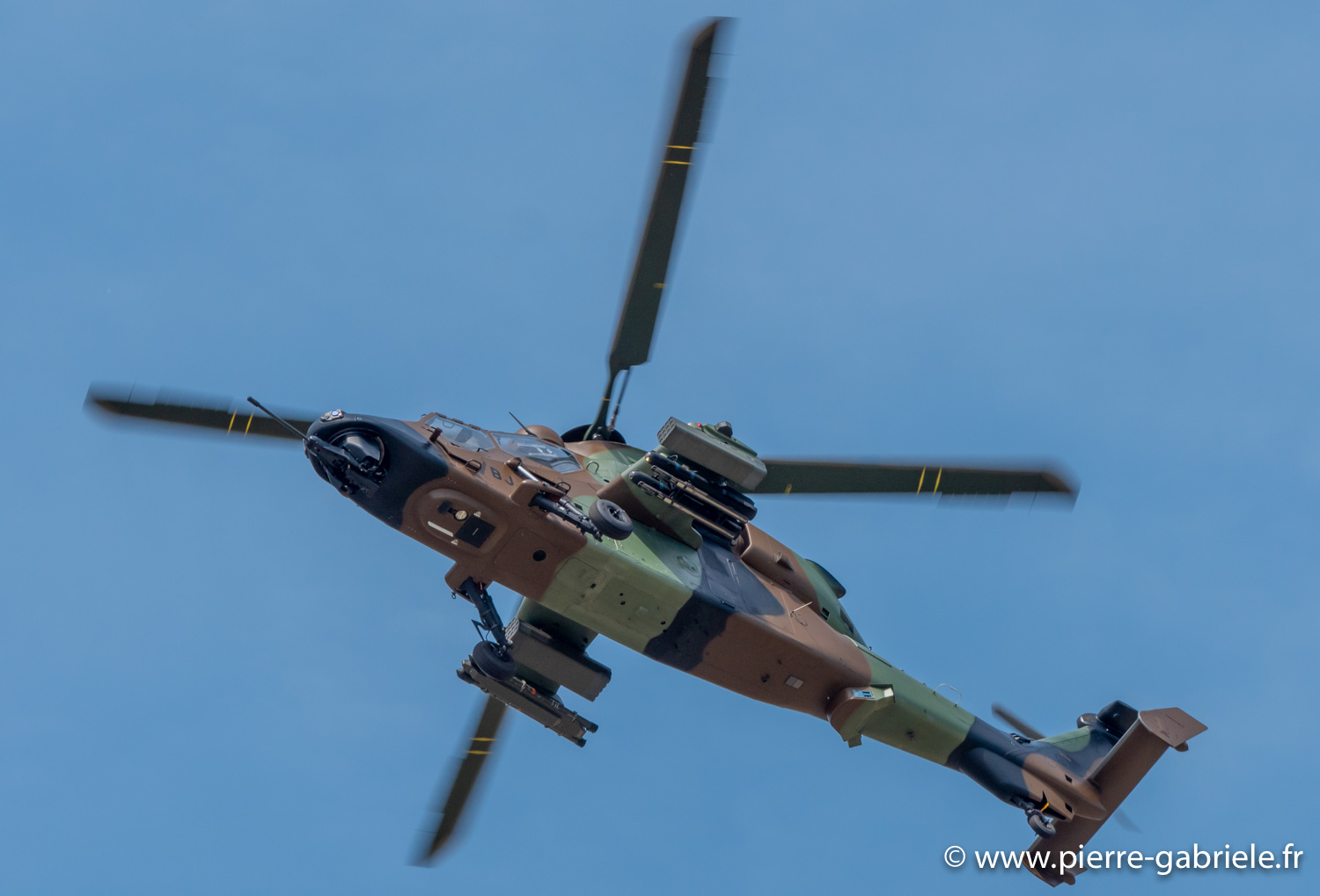 tigre-g93_0796.jpg