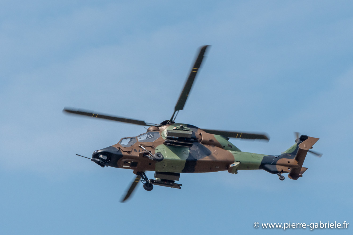 tigre-g93_0797.jpg