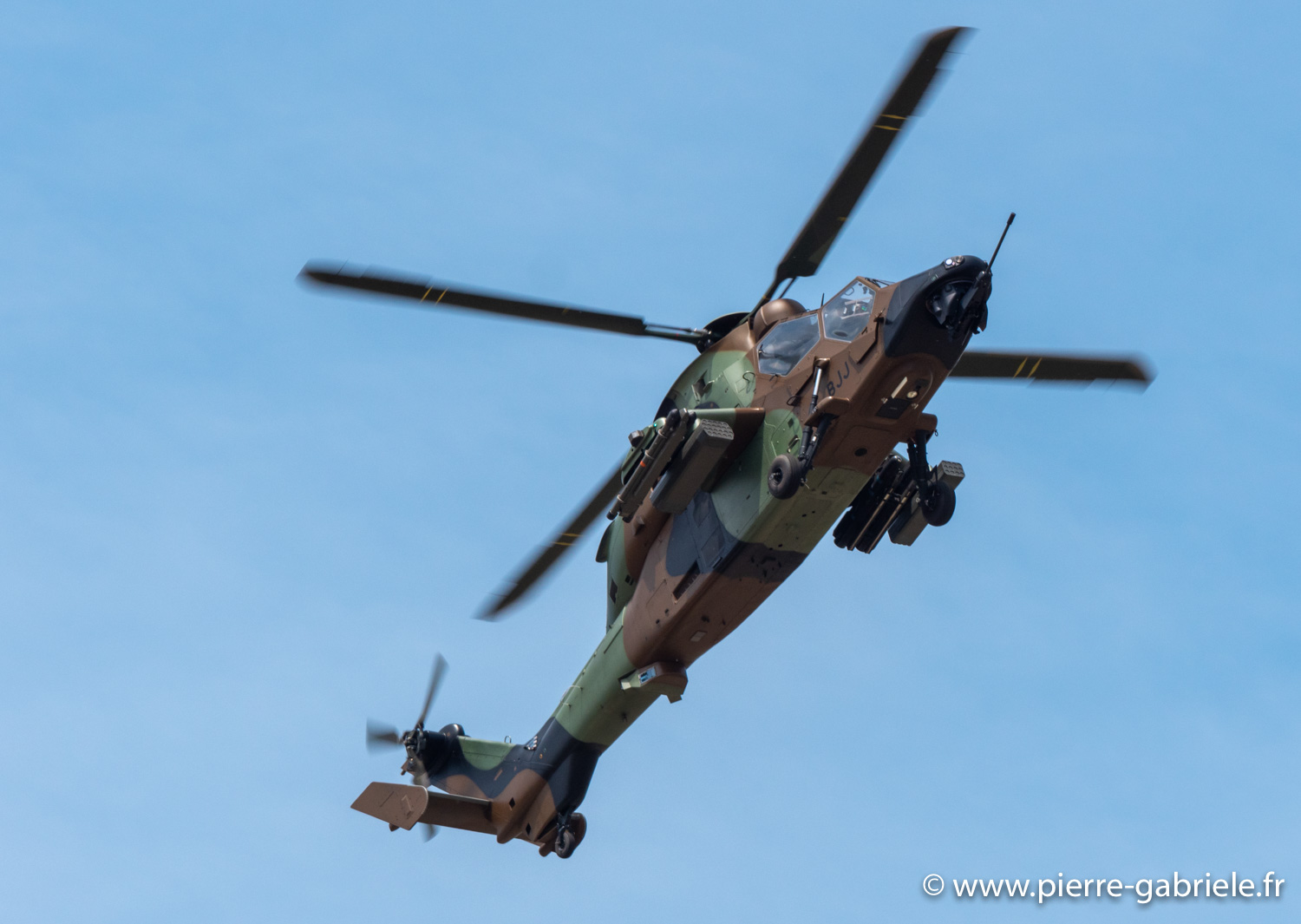 tigre-g93_0799.jpg
