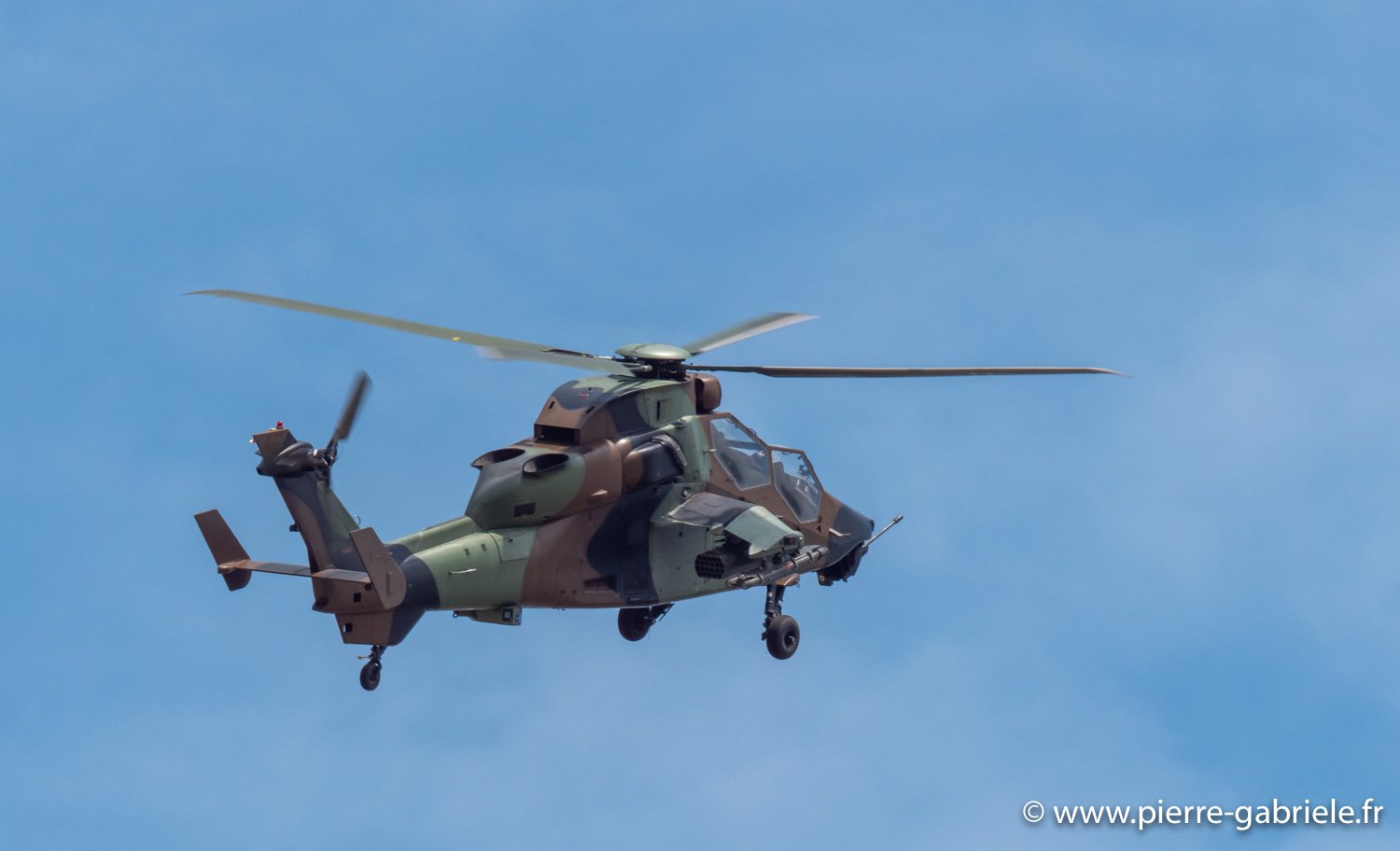 tigre-g93_0801.jpg
