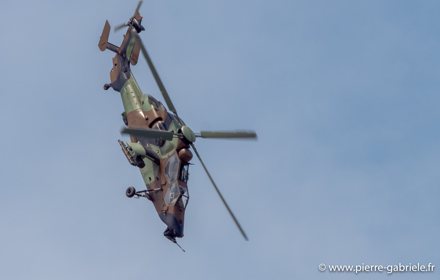 tigre-g93_0806.jpg