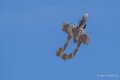 bronco-a74n_02667