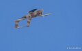 bronco-a74n_02669