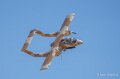 bronco-a74n_02679