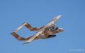 bronco-a74n_02680