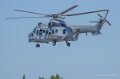 caracal-a74n_02835