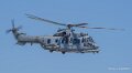 caracal-a74n_02842