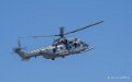 caracal-a74n_02845