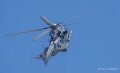 caracal-a74n_02846