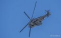 caracal-a74n_02847
