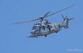 caracal-a74n_02849