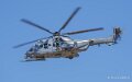 caracal-a74n_02850
