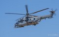 caracal-a74n_02851