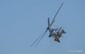 caracal-a74n_02853