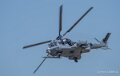 caracal-a74n_02854