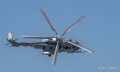 caracal-a74n_02856