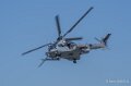 caracal-a74n_02858