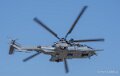 caracal-a74n_02862
