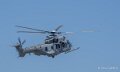 caracal-a74n_02863