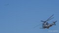 caracal-a74n_02865